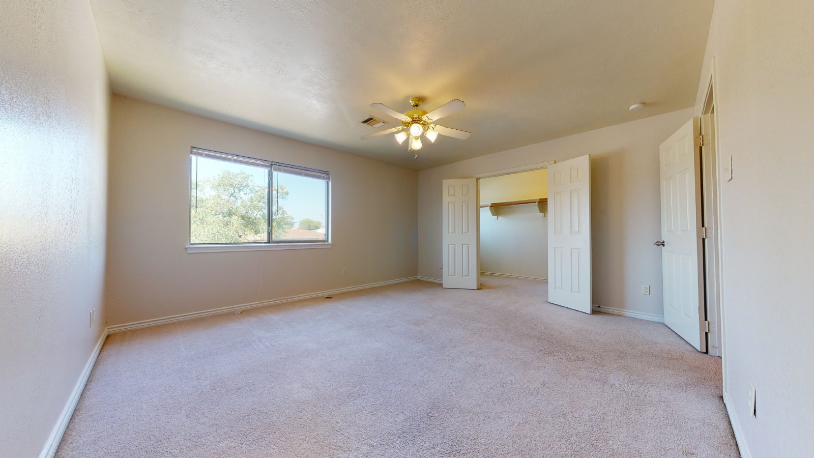 1915 Pine Tree B property image