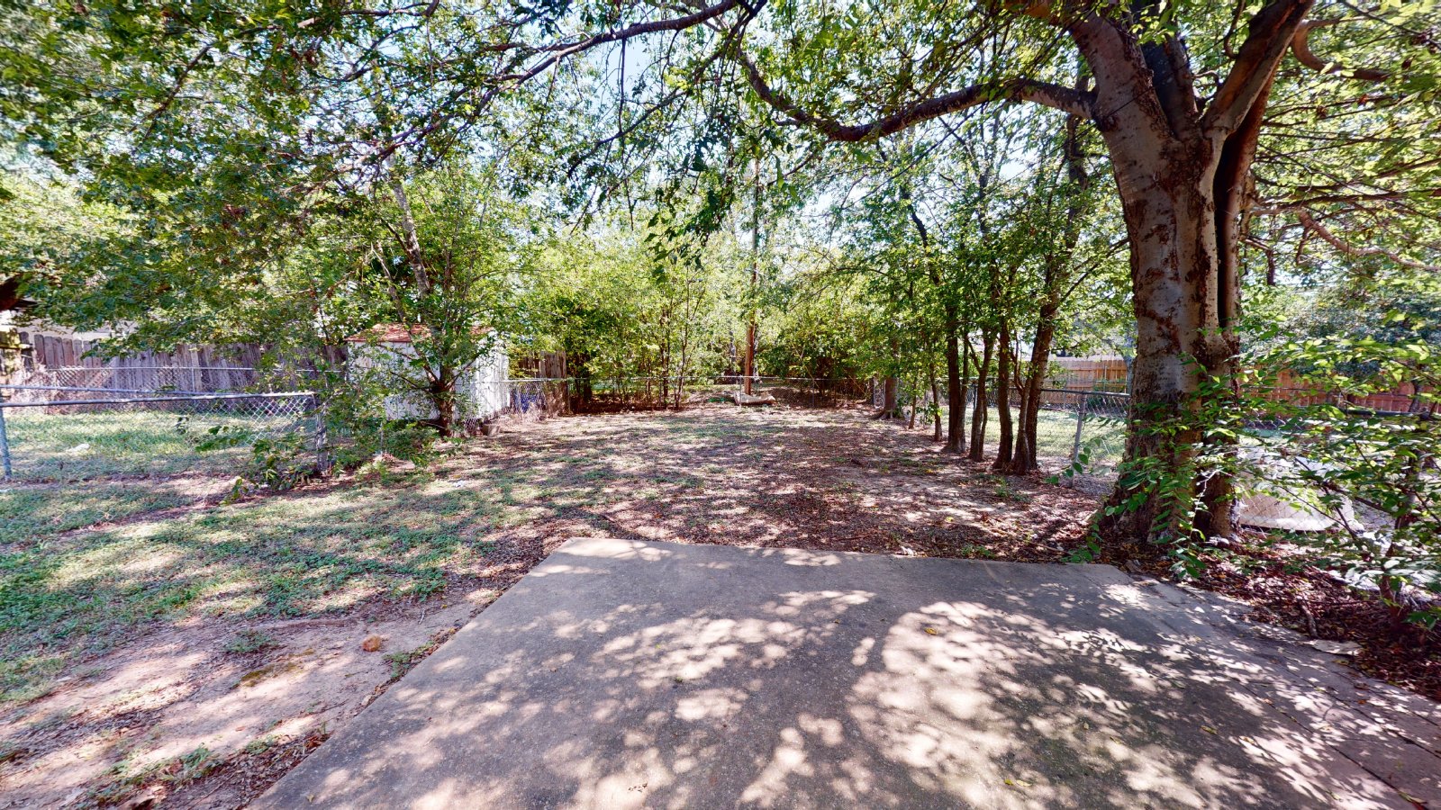 1915 Pine Tree B property image