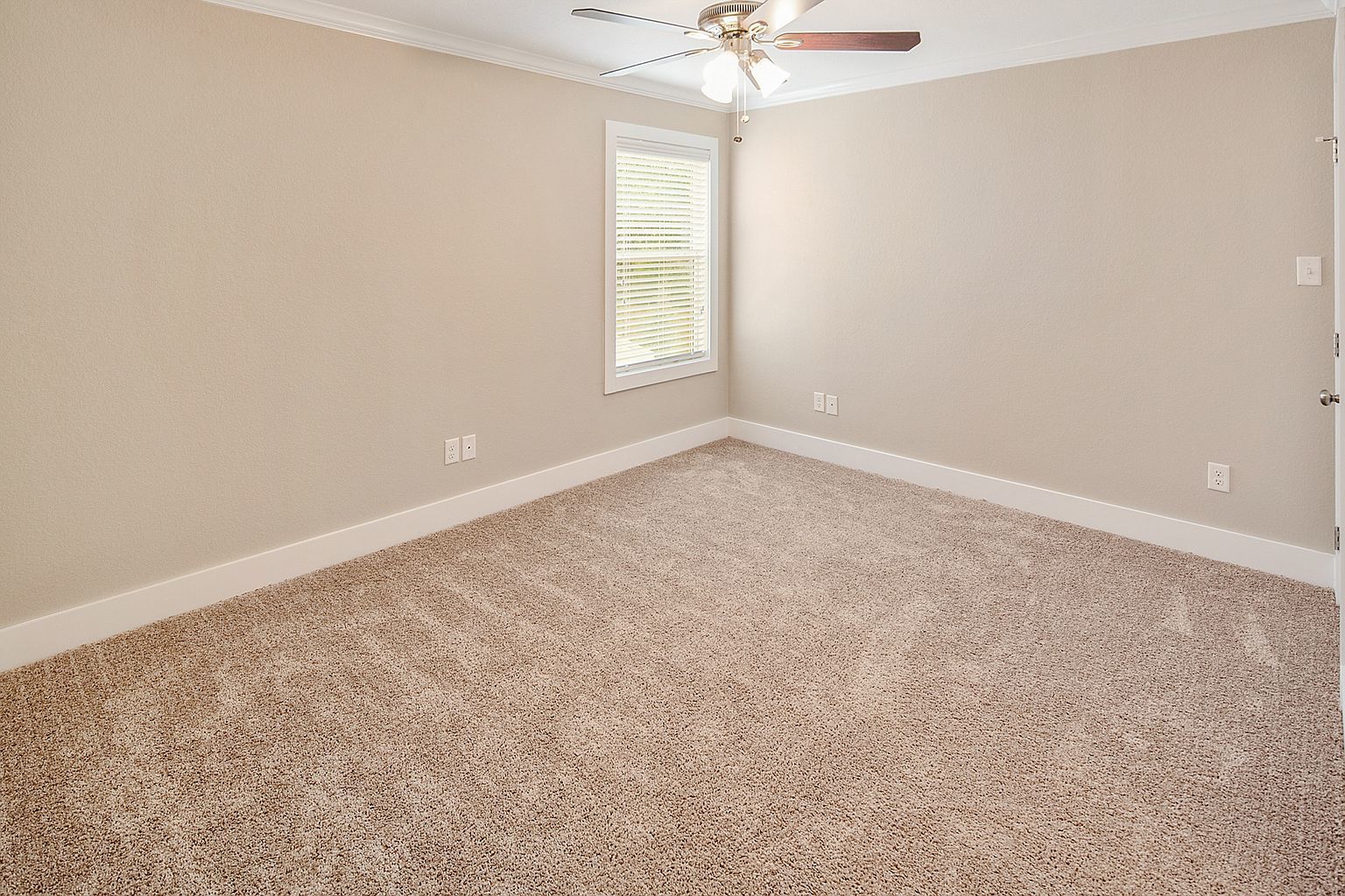 1410 Holleman property image