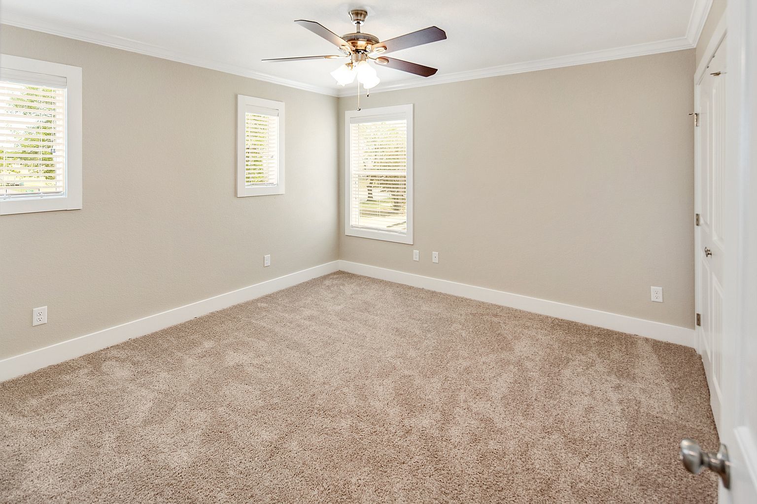 1410 Holleman property image