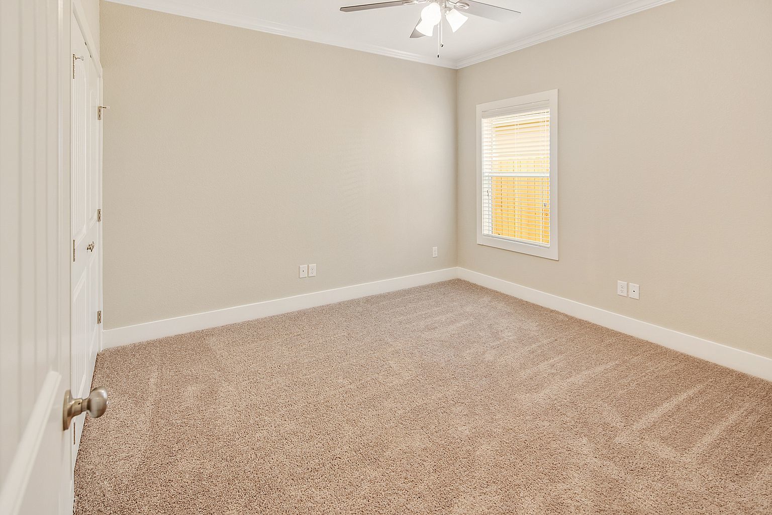 1410 Holleman property image